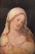 Albrecht Durer The Virgin suckling the Child Spain oil painting artist